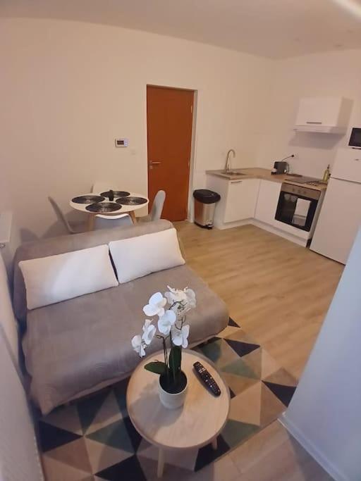 Appartement F1 Orchidee Μυλούζη Εξωτερικό φωτογραφία