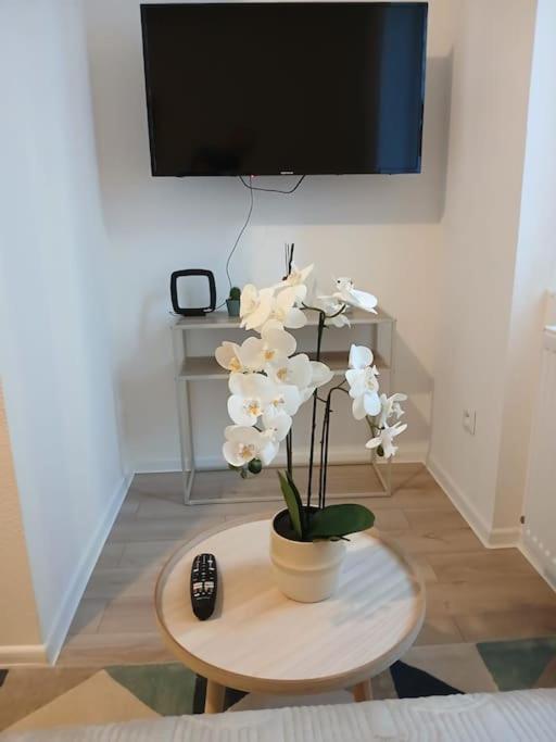 Appartement F1 Orchidee Μυλούζη Εξωτερικό φωτογραφία
